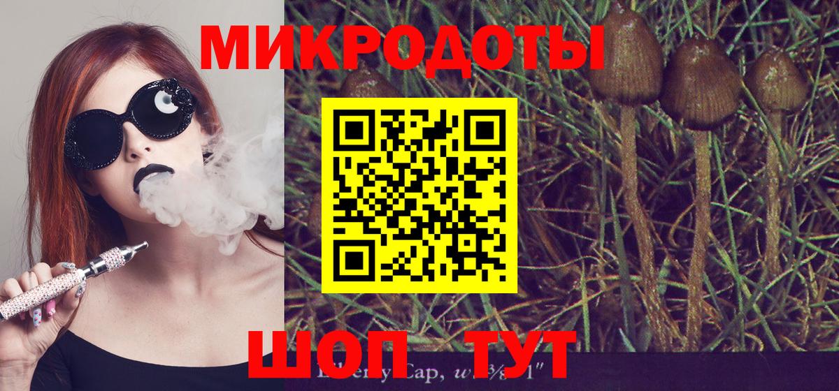 Туапсе  Псилоцибиновые грибы Psilocybine cubensis  Вход с VPN 